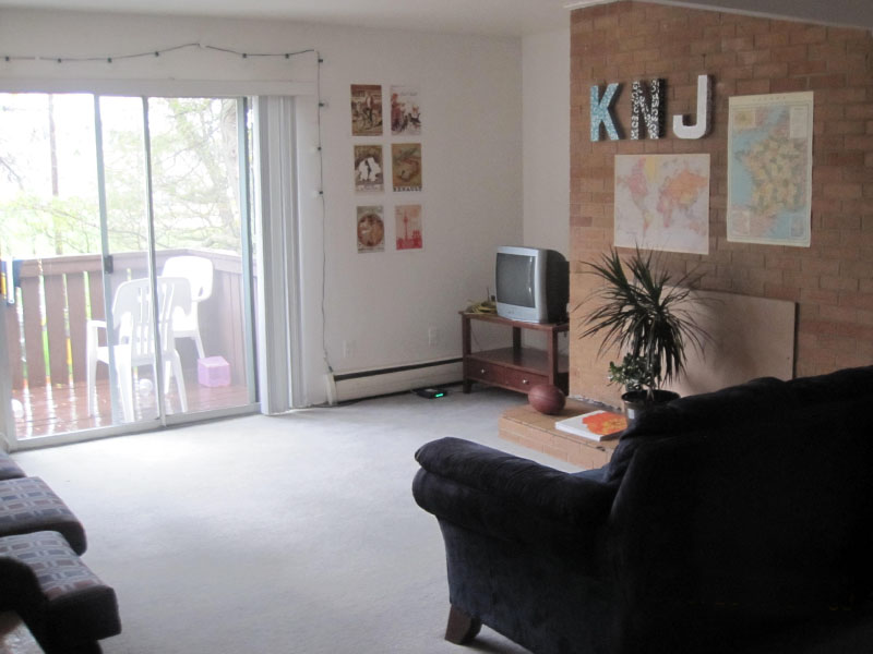 915 S. Division Living Area 1