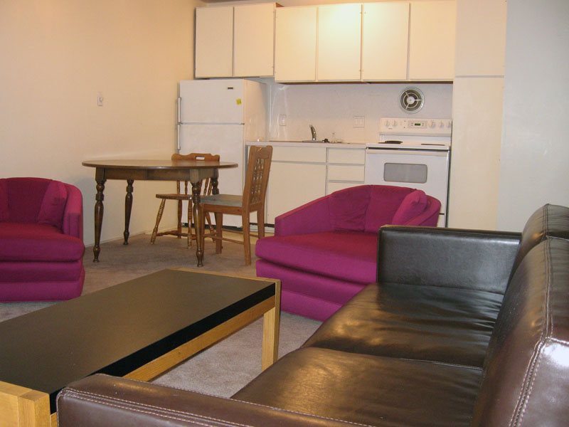 915 S. Division Living Area 4