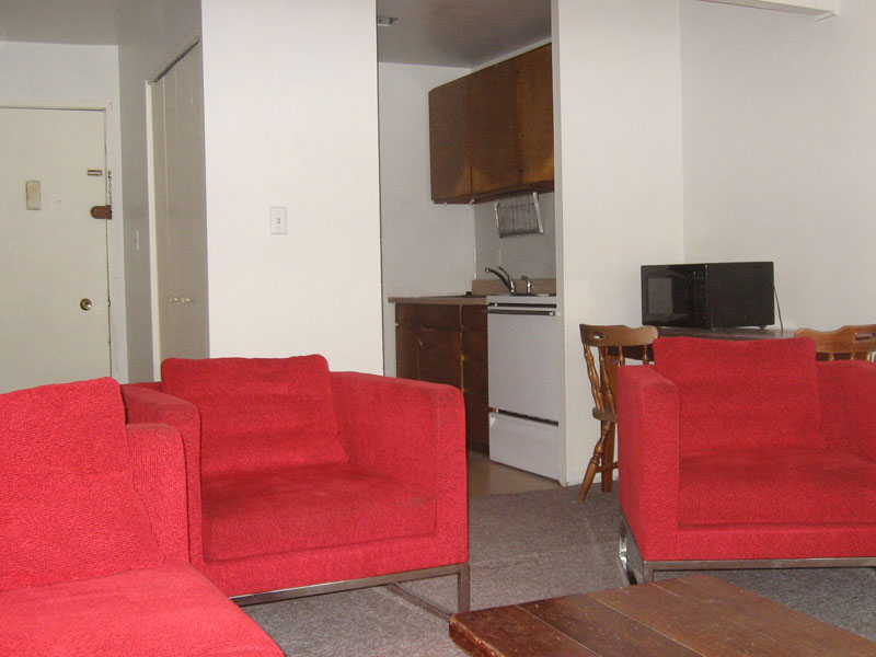 915 S. Division Living Area 6