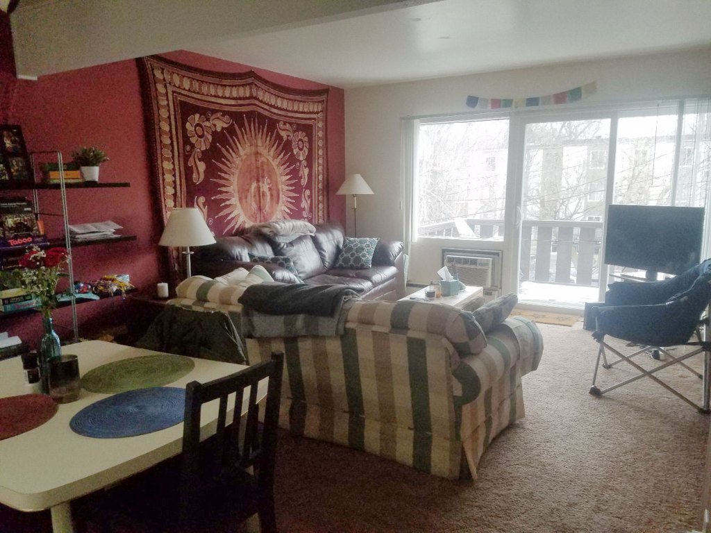 1 bedroom - living room